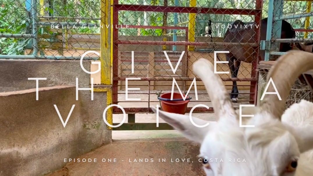 Give Them A Voice - Episode One
